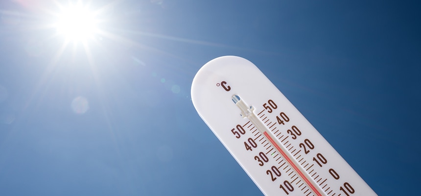 高温対策・遮光特集