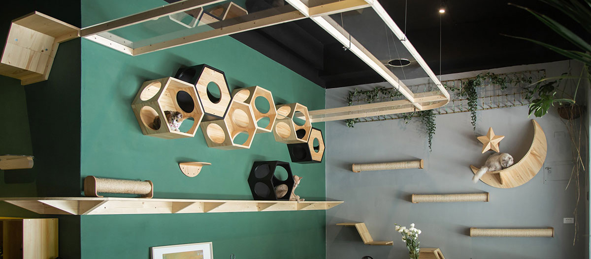 コーディネート一覧