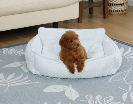 ペットも暑さ対策