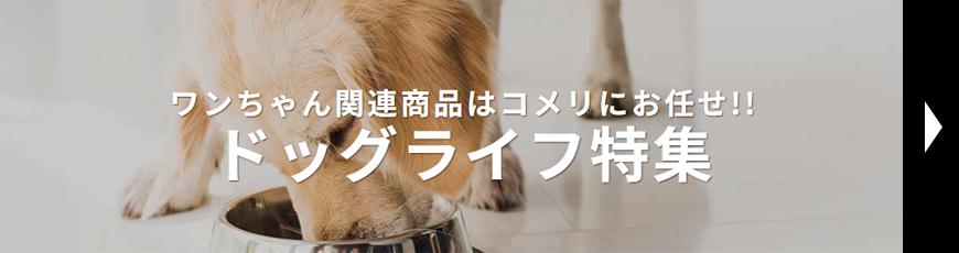 ドッグライフ特集
