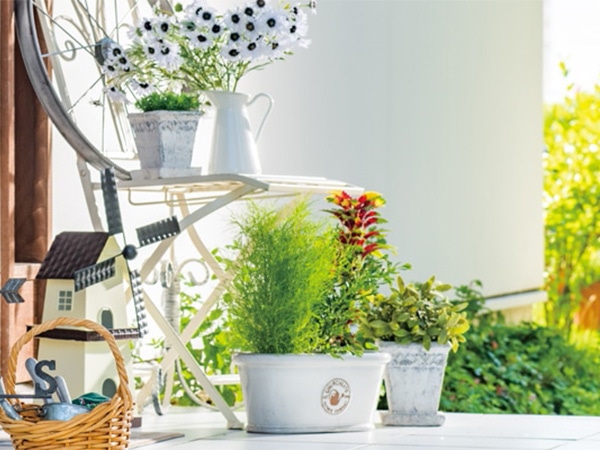 お庭でガーデニング・家庭菜園を楽しむ