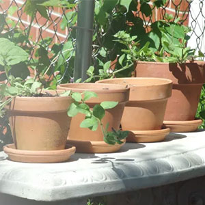 植木鉢・プランター