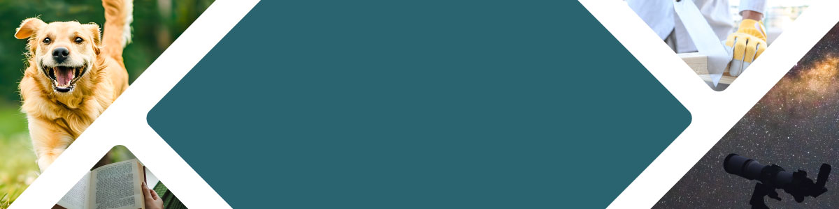 お庭を楽しむ特集