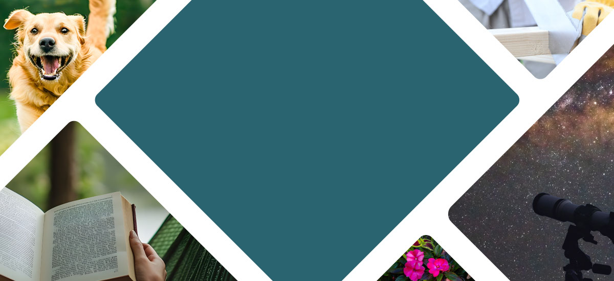 お庭を楽しむ特集