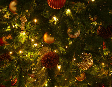 屋内イルミネーション