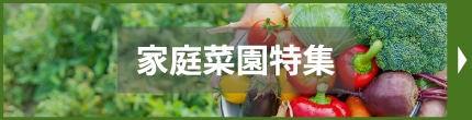 家庭菜園特集