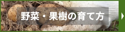 野菜・果樹の育て方