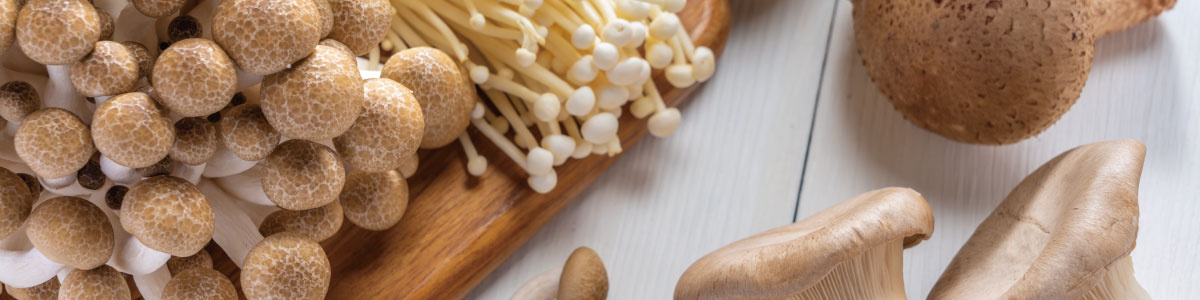 きのこ栽培特集