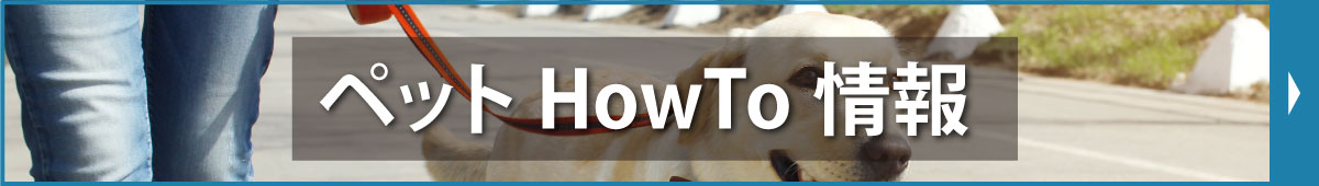 ペットHowto情報