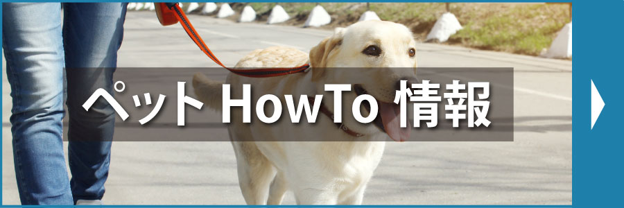 ペットHowto情報