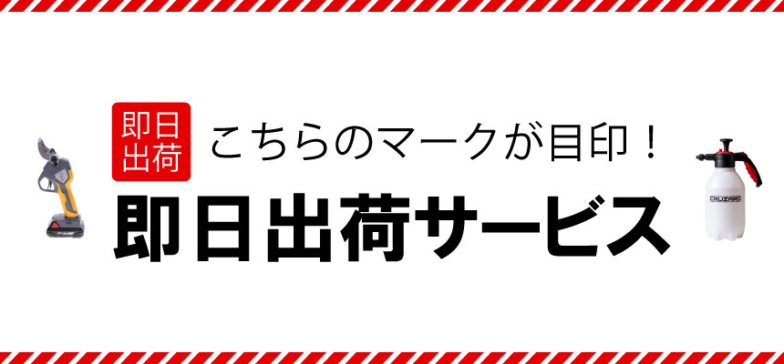 即日出荷サービス