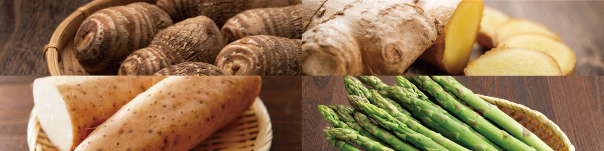 種里芋・生姜・健康野菜特集