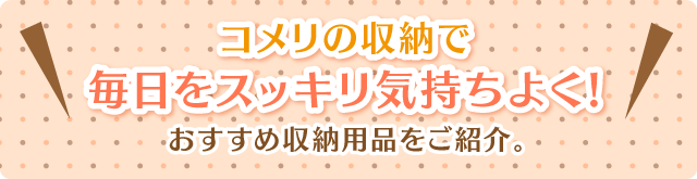 �R�����̎��[�� ������X�b�L���C�����悭!�������ߎ��[�p�i����Љ�B