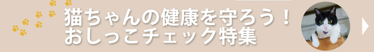 猫ちゃんの健康を守ろう！おしっこチェック特集