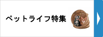 ペットライフ特集