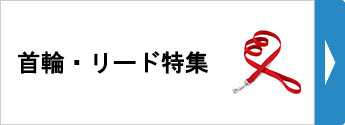 首輪・リード特集