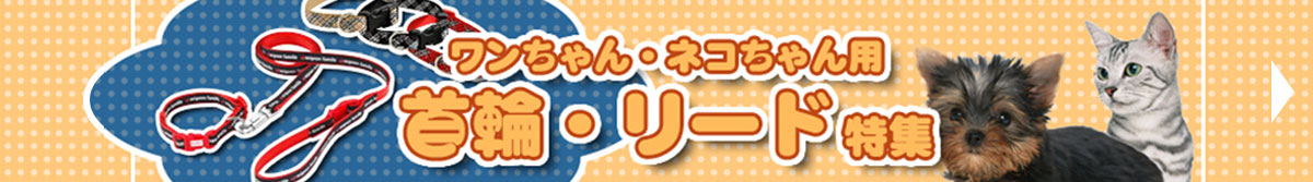 首輪・リード特集