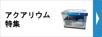 アクアリウム特集