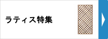ラティス特集