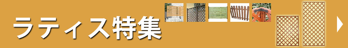 ラティス特集