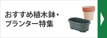 プランター特集