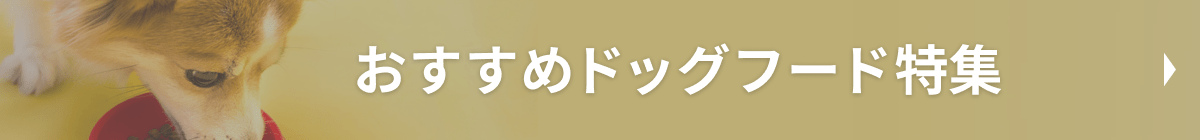 おすすめドッグフード特集