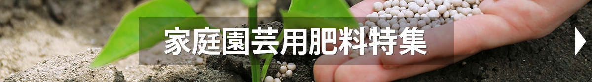 �ƒ뉀�|�p�엿���W