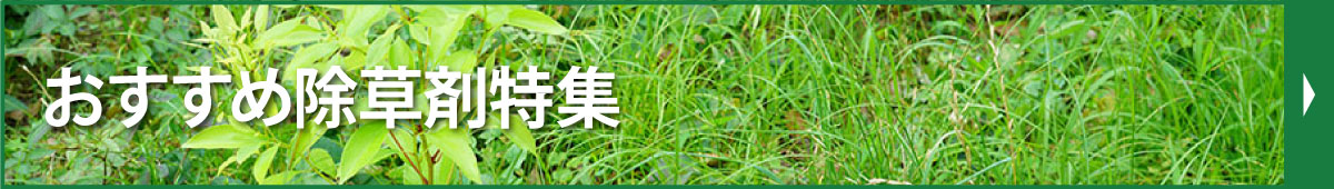 �������ߏ����ܓ��W