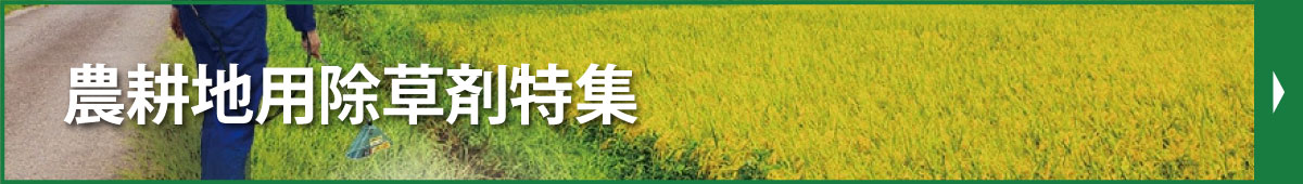 �_�k�n�p�����ܓ��W