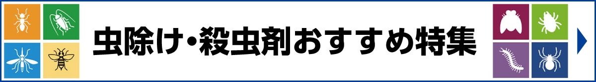 �������E�E���܂������ߓ��W