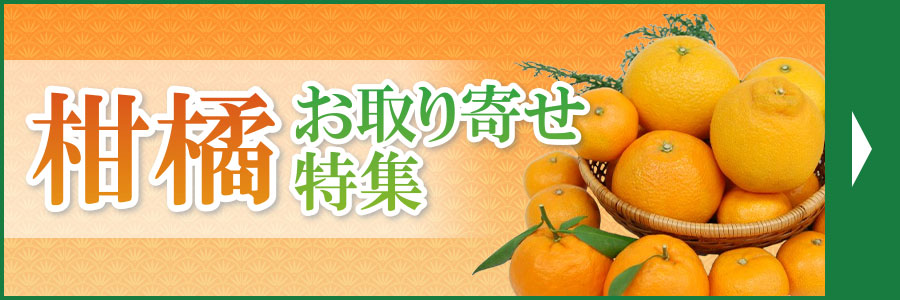 柑橘取り寄せ特集
