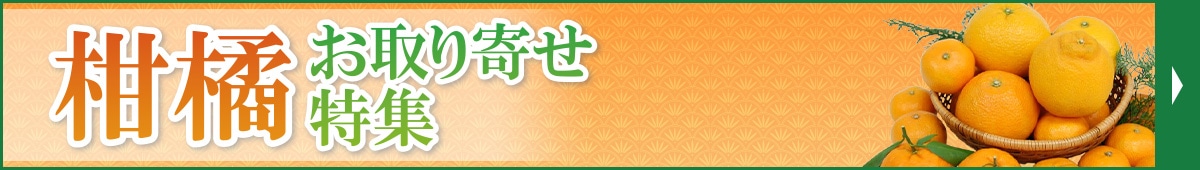 柑橘取り寄せ特集