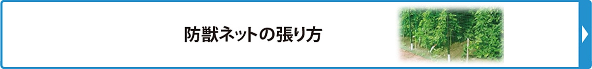 防獣ネットの張り方