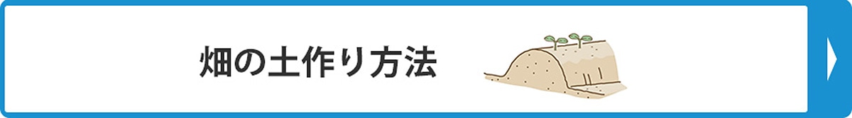 畑の土作り方法