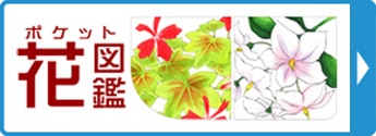 ポケット花図鑑