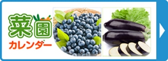 菜園カレンダー