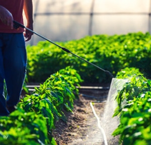 農薬・肥料・用土