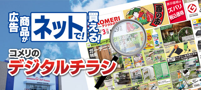 �f�W�^���`���V