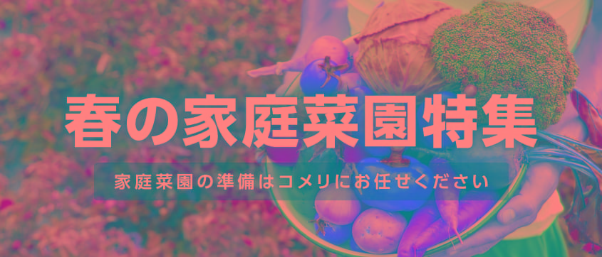 春の家庭菜園特集