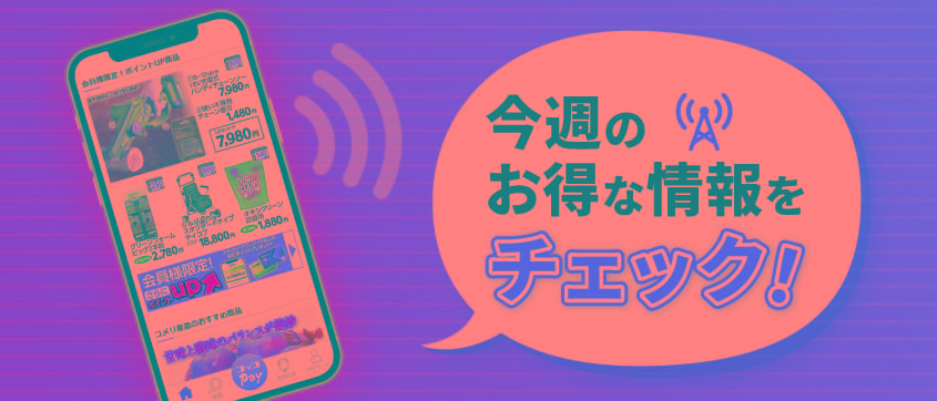 今週のお買い得情報