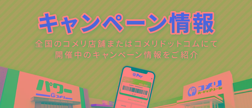 キャンペーン情報