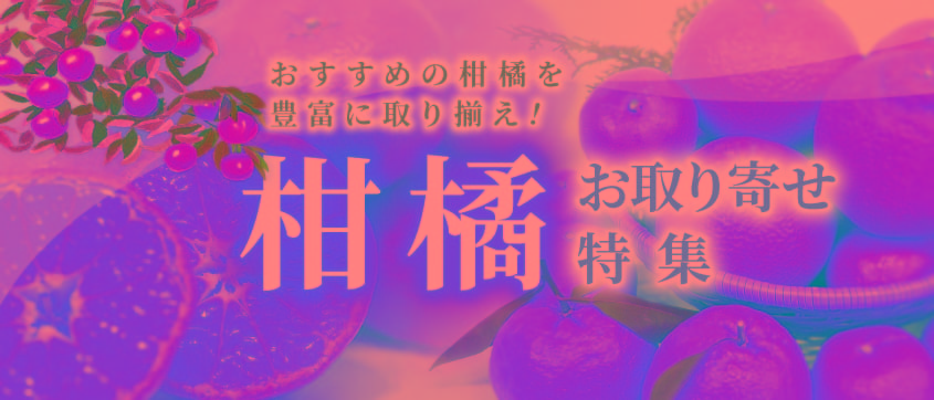 柑橘 お取り寄せ特集