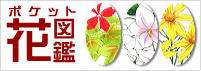 ポケット花図鑑