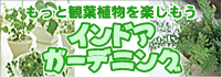 もっと観葉植物を楽しもう　インドアガーデニング
